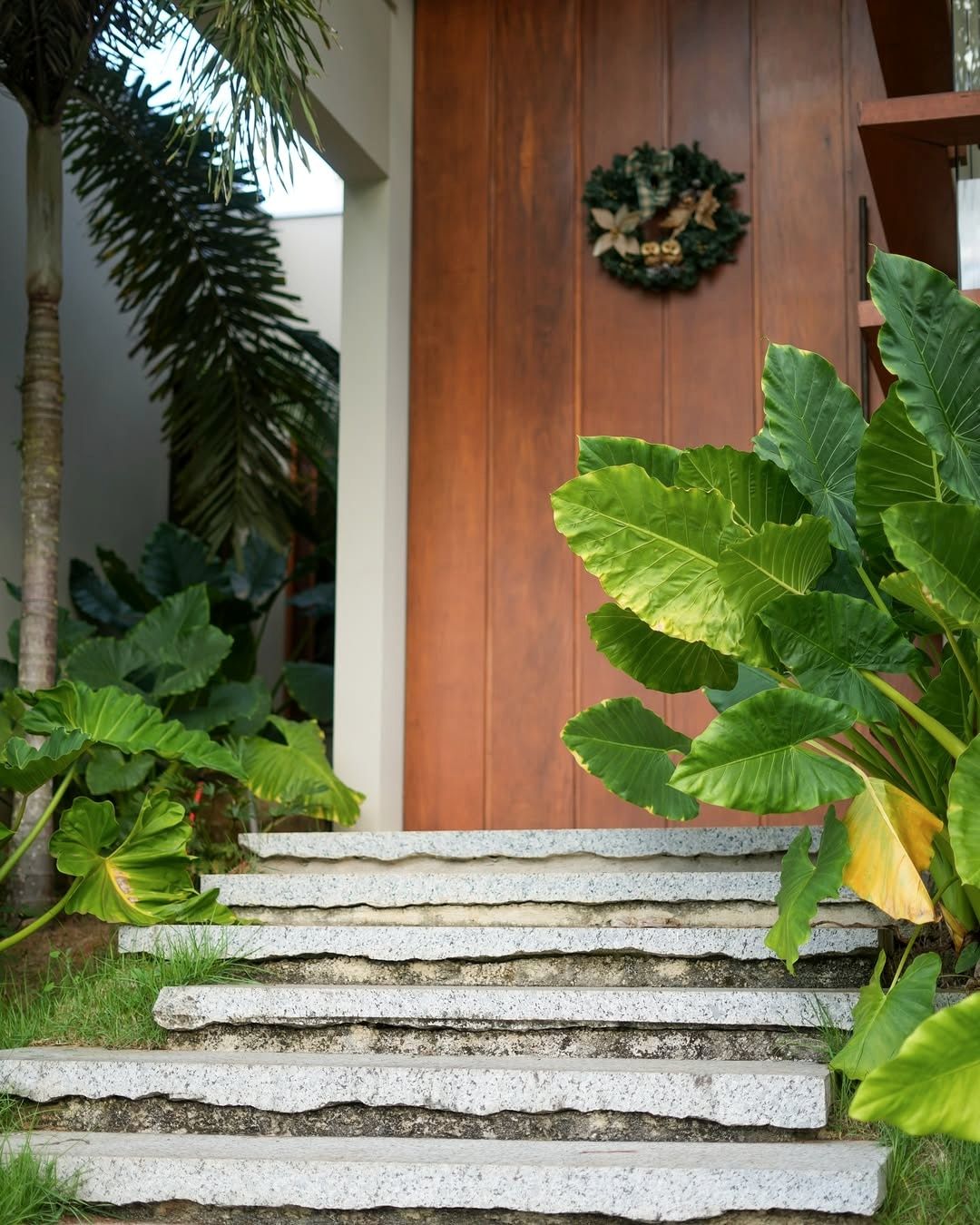 Fotografia da obra da Casa KA: detalhe da porta de madeira com folhagem tropical.